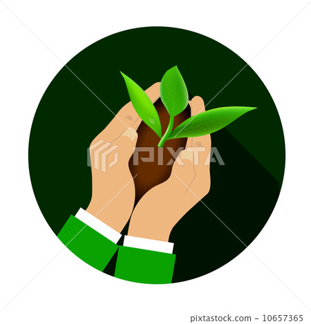 Hands holding young plant. Hands holding young plant. 10657365