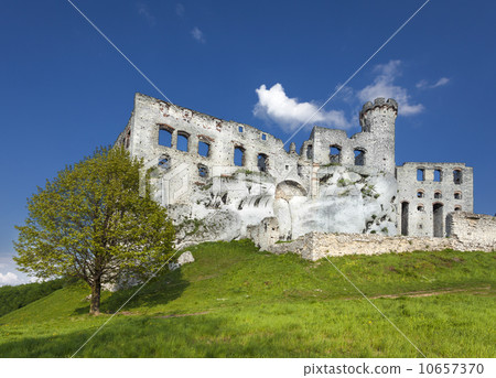 Ruins of a castle, Ogrodzieniec fortifications, Poland. Ruins of a castle, Ogrodzieniec fortifications, Poland. 10657370