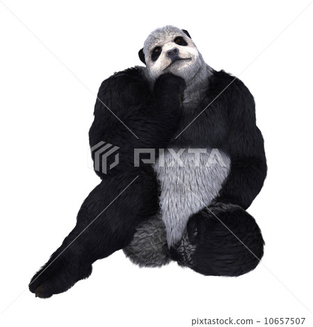Pandaman 10657507