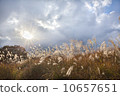 Sone Takahara Susuki 10657651