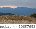 Sone Takahara Susuki 10657652