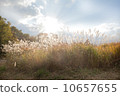 Sone Takahara Susuki 10657655