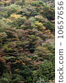 Sonjyuki 10657656