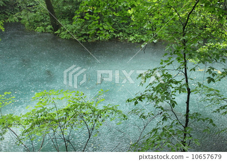 Rain pond Rain pond 10657679