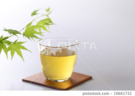涼茶 10661732