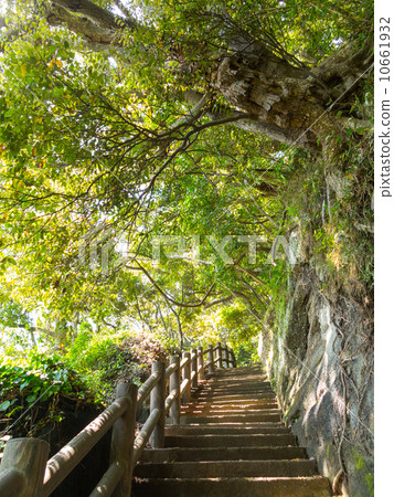 Tateyama Nakoji Tateyama Nakoji 10661932