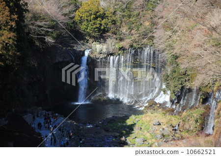 Shiraito瀑布 10662521