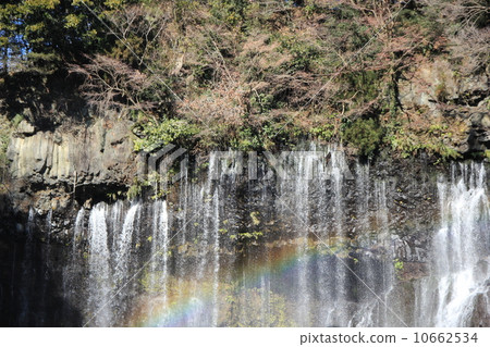 Shiraito瀑布 10662534