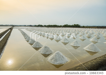 Salt pan scene in Thailand4 Salt pan scene in Thailand4 10663343