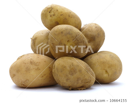 馬鈴薯的 馬鈴薯的 10664155