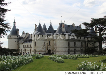 ChâteaudeChaumont sur Loire 10664174
