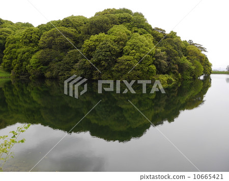 Shogushin Tenshin 10665421