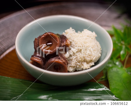 Son of octopus and octopus Son of octopus and octopus 10665612