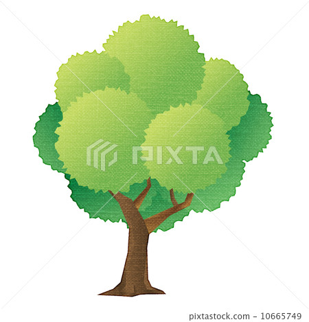 一棵樹 10665749