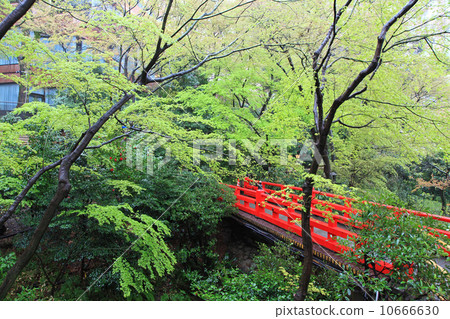 Chinzanso Chinzanso 10666630
