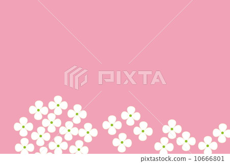  hydrangea 10666801