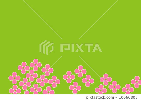  繡球 10666803