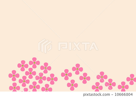  繡球 10666804