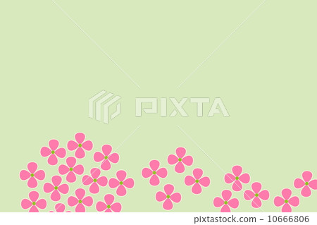 繡球 繡球 10666806