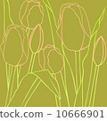 Tulip 10666901