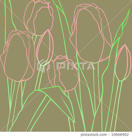 Tulip Tulip 10666902