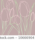 Tulip 10666904