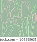 Tulip 10666905