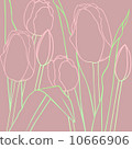 Tulip 10666906