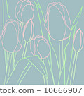 Tulip 10666907