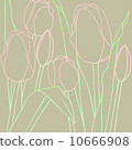 Tulip 10666908