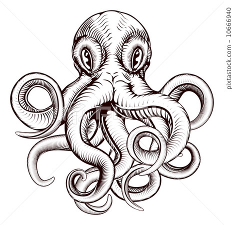 Octopus illustration 10666940