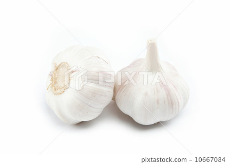 garlic bulb isolated on white background cutout 10667084