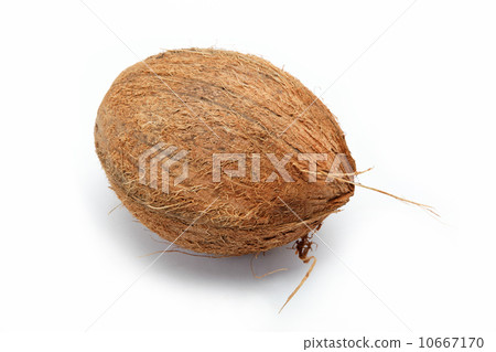 coconut isolated on white coconut isolated on white 10667170