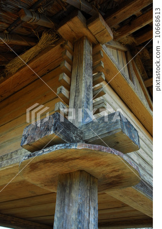 老鼠在恢復的彌生時代（靜岡縣駿河區）返回 10668613