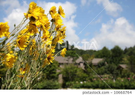 夏日是一個夏日 夏日是一個夏日 10668764