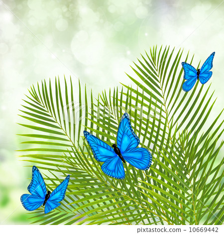 palm tree with butterflies palm tree with butterflies 10669442