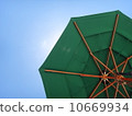 Summer garden parasols 10669934