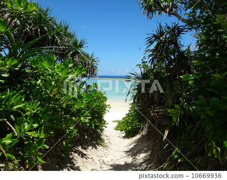 A white road leading to the sea 10669936