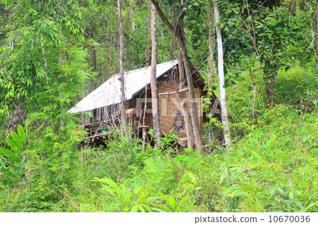 The hut of Palawan island of the Philippines 10670036