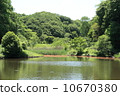 Kanagawa prefectural four seasons forest park 10670380