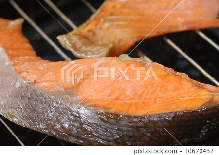 salmon  10670432