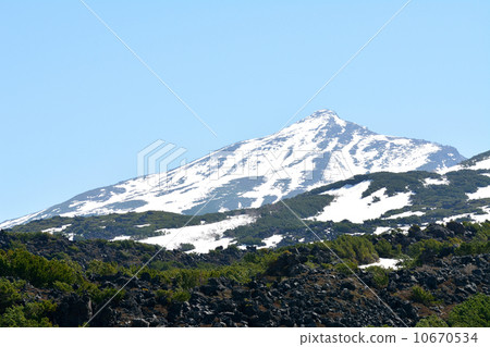 我的烘烤 10670534