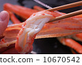 Snow crab Snow crab 10670542