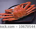 Snow crab Snow crab 10670544