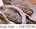 Raw oysters Raw oysters 10670546
