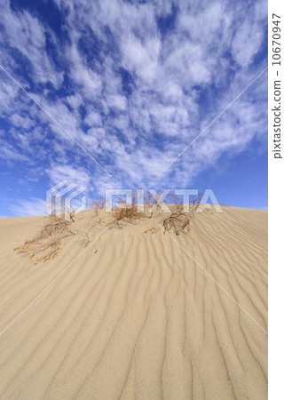 Sand Dune of Death Valley 10670947