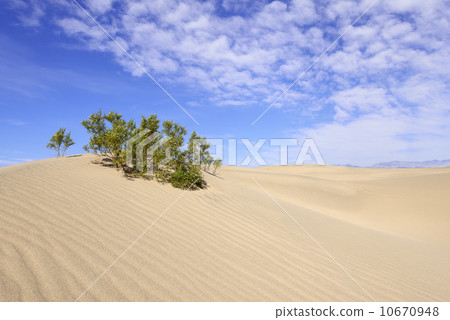 Sand Dune of Death Valley 10670948
