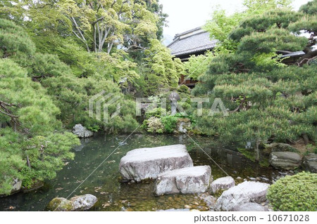 交易商的田中Honkei花園 10671028