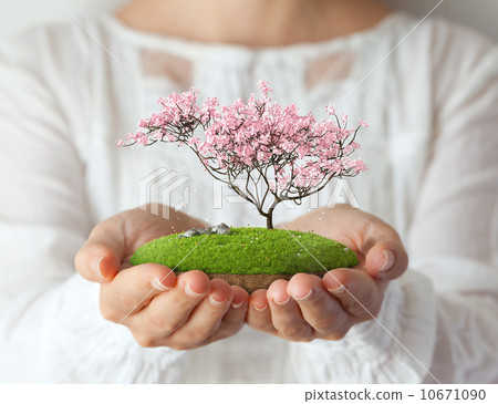 Fantastic island 10671090