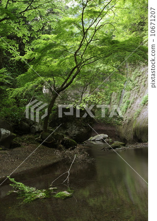 Yufugawa Valley _ Fresh green 10671207
